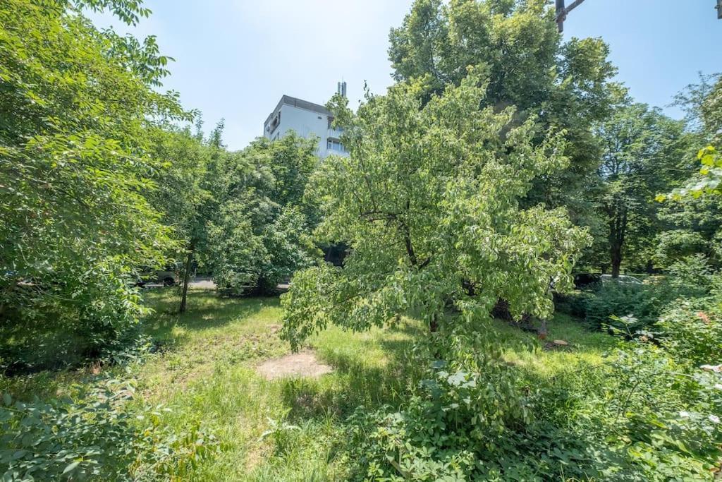 Top Location, Brand New 3 Bdrm Apt & Free Parking Szófia Kültér fotó