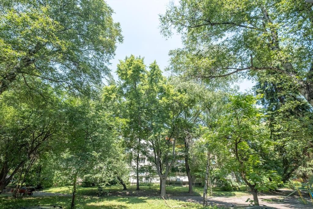 Top Location, Brand New 3 Bdrm Apt & Free Parking Szófia Kültér fotó